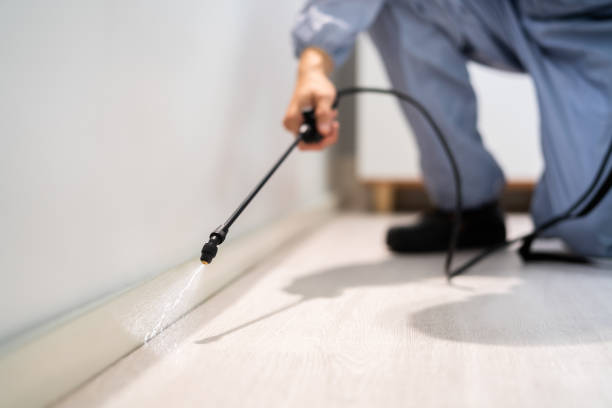 Bed Bug Pre-Treatment Preparation Assessment in Newberg