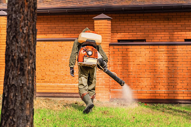 Bed Bug Clearance Verification and Documentation in Newberg